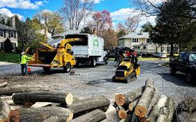 Best Seasonal Cleanup (Spring/Fall)  in Huntington Park, CA